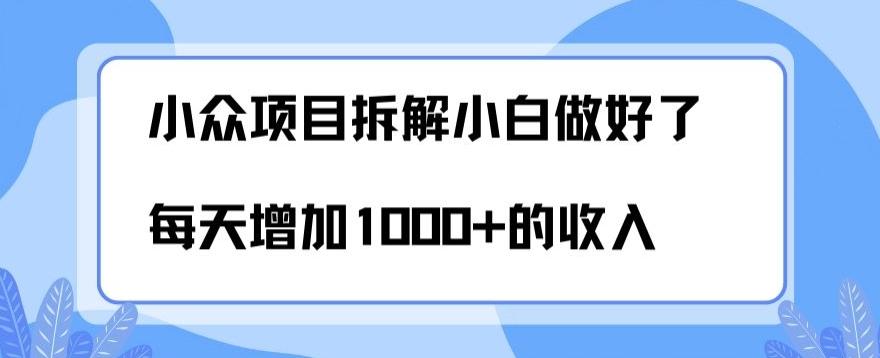 小众项目拆解，小白做好了每天可增加1000多的收入-星禾网创星球