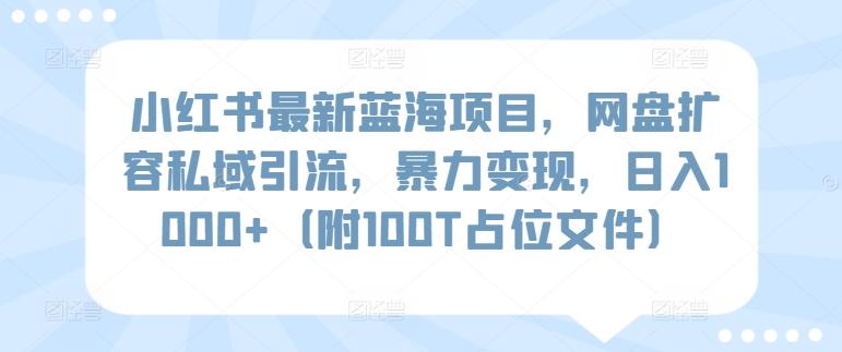 小红书最新蓝海项目，网盘扩容私域引流，暴力变现，日入1000+(附100T占位文件)【揭秘】-星禾网创星球