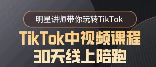 TikTok中视频课程30天线上陪跑，明星讲师带你玩转TikTok-星禾网创星球