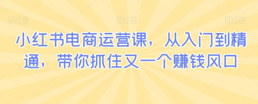 小红书电商运营课，从入门到精通，带你抓住又一个赚钱风口-星禾网创星球