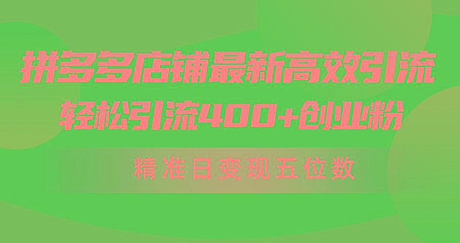 (10041期)拼多多店铺最新高效引流术，轻松引流400+创业粉，精准日变现五位数！-星禾网创星球