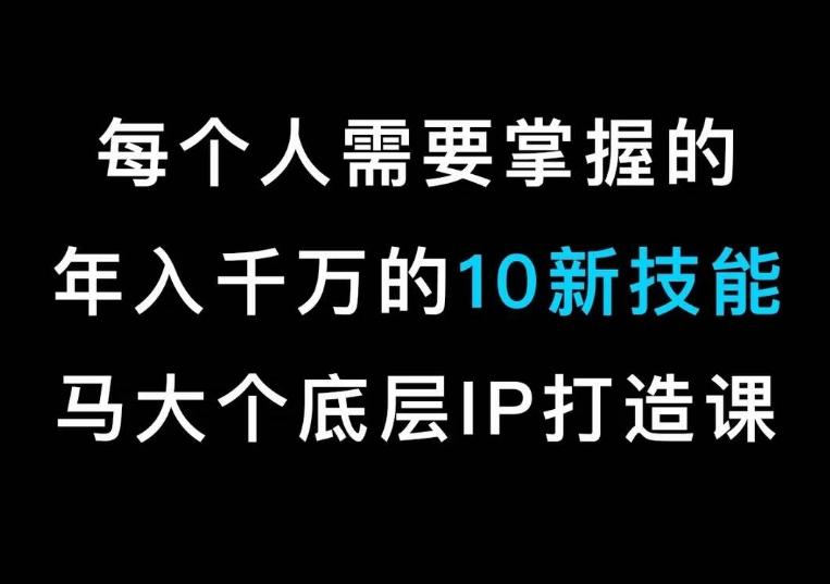 马大个的IP底层逻辑课，​每个人需要掌握的年入千万的10新技能，约会底层IP打造方法！-星禾网创星球