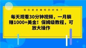 每天观看30分钟视频，一月躺赚1000+美金！保姆级教程，可放大操作【揭秘】-星禾网创星球