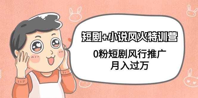 (9374期)短剧+小说风火特训营，0粉短剧风行推广，月入过万(102节课)-星禾网创星球