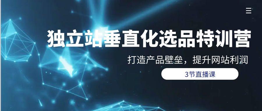 (9925期)独立站-垂直化选品训练营，打造产品壁垒，提升网站利润(3节直播课)-星禾网创星球