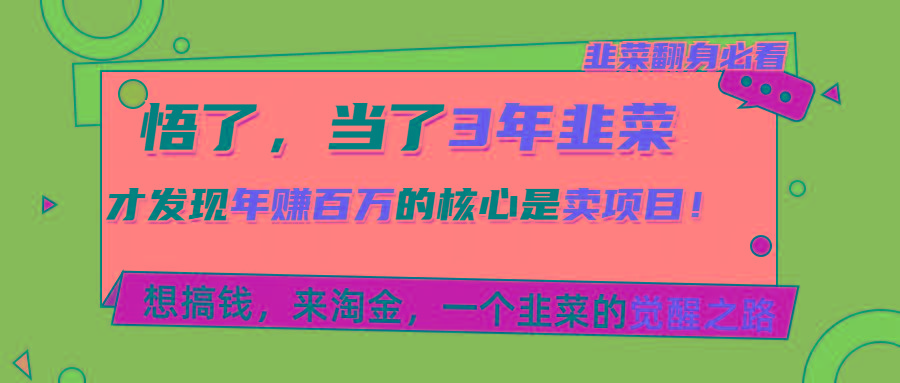 悟了，当了3年韭菜，才发现网赚圈年赚100万的核心是卖项目，含泪分享！-星禾网创星球
