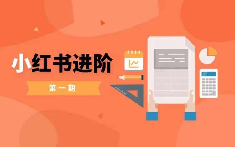 小红书进阶篇，零基础小白实战课，普通人变现的课程-星禾网创星球