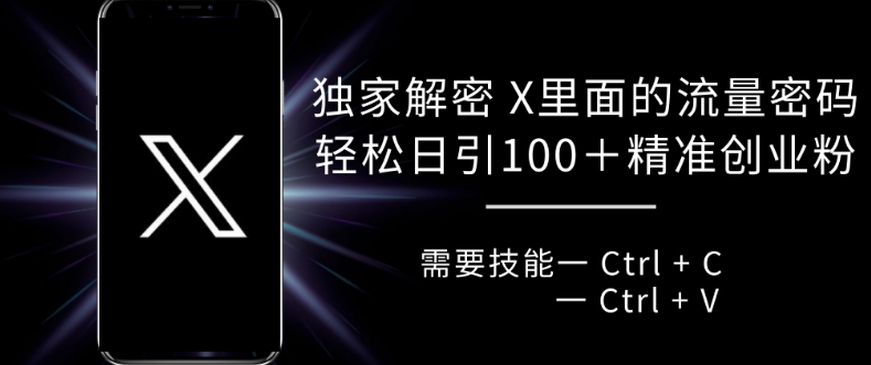 独家解密 X 里面的流量密码，复制粘贴轻松日引100+-星禾网创星球