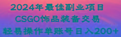 2024年最佳副业项目 CSGO饰品装备交易 轻易操作单账号日入200+-星禾网创星球