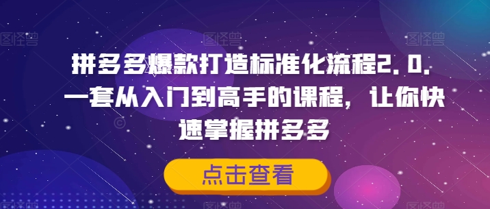 拼多多爆款打造标准化流程2.0，一套从入门到高手的课程，让你快速掌握拼多多-星禾网创星球