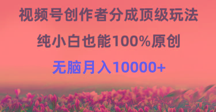 (9608期)视频号创作者分成顶级玩法，纯小白也能100%原创，无脑月入10000+-星禾网创星球
