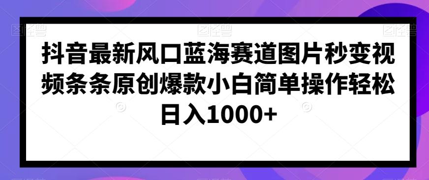 抖音最新风口蓝海赛道图片秒变视频条条原创爆款小白简单操作轻松日入1000+-星禾网创星球