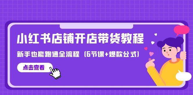(9883期)最新小红书店铺开店带货教程，新手也能跑通全流程(6节课+爆款公式)-星禾网创星球