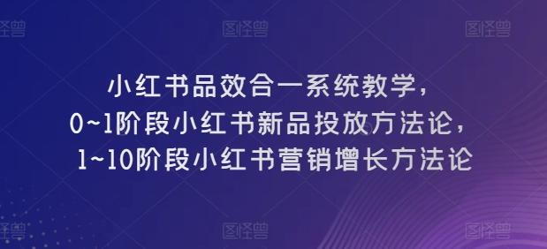 小红书品效合一系统教学，​0~1阶段小红书新品投放方法论，​1~10阶段小红书营销增长方法论-星禾网创星球