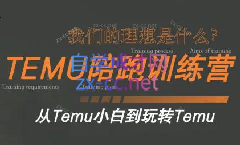 苗苗·拼多多跨境（temu）课程-星禾网创星球
