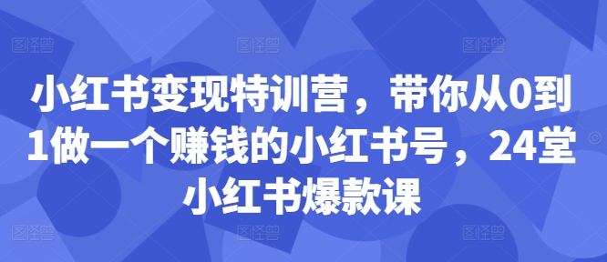 小红书变现特训营，带你从0到1做一个赚钱的小红书号，24堂小红书爆款课-星禾网创星球