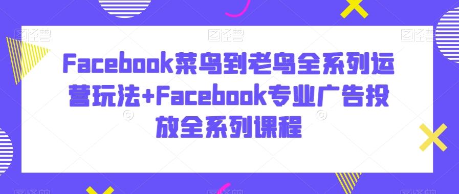 Facebook菜鸟到老鸟全系列运营玩法+Facebook专业广告投放全系列课程-星禾网创星球