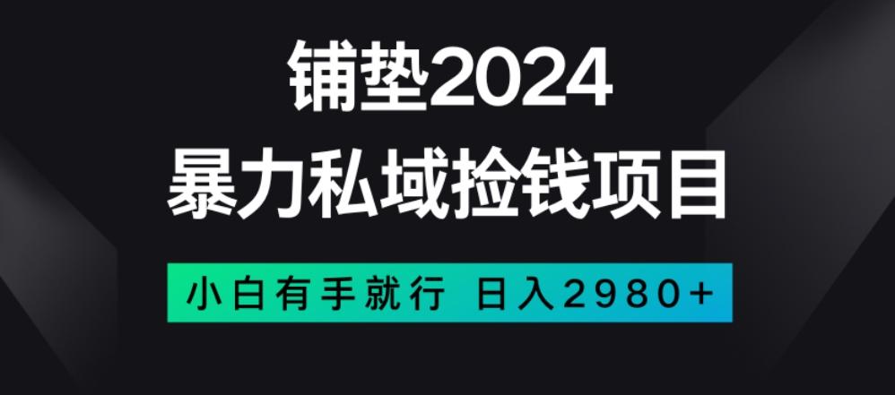 暴力私域捡钱项目，小白无脑操作，日入2980【揭秘】-星禾网创星球