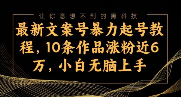 最新文案号暴力起号教程，10条作品涨粉近6万，小白无脑上手-星禾网创星球