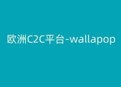 欧洲C2C平台-wallapop-kim跨境电商教程-星禾网创星球