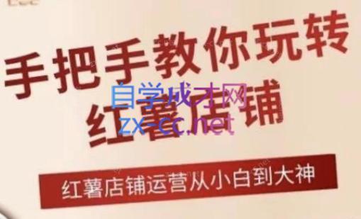 海燕老师·2024手把手教你玩转红薯店铺-星禾网创星球