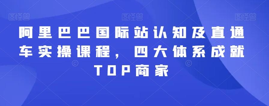 阿里巴巴国际站认知及直通车实操课程，四大体系成就TOP商家-星禾网创星球