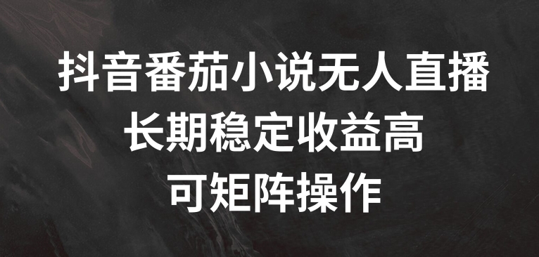 抖音番茄小说无人直播，长期稳定收益高，可矩阵操作【揭秘】-星禾网创星球