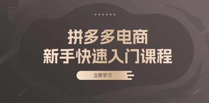 拼多多电商新手快速入门课程：涵盖基础、实战与选款，助力小白轻松上手-星禾网创星球