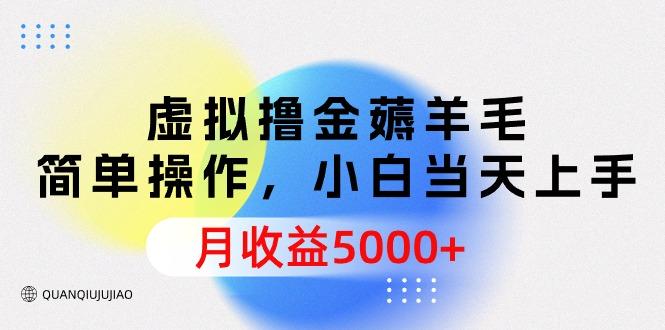 (9864期)虚拟撸金薅羊毛，简单操作，小白当天上手，月收益5000+-星禾网创星球