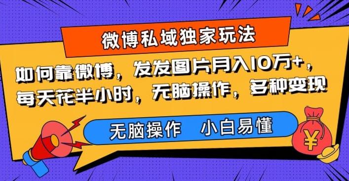 如何靠微博，发发图片月入10万+，‌每天花半小时，无脑操作，多种变现-星禾网创星球