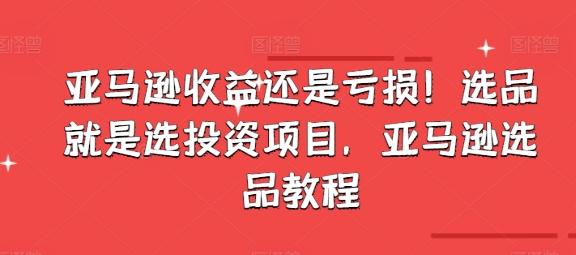 亚马逊收益还是亏损！选品就是选投资项目，亚马逊选品教程-星禾网创星球