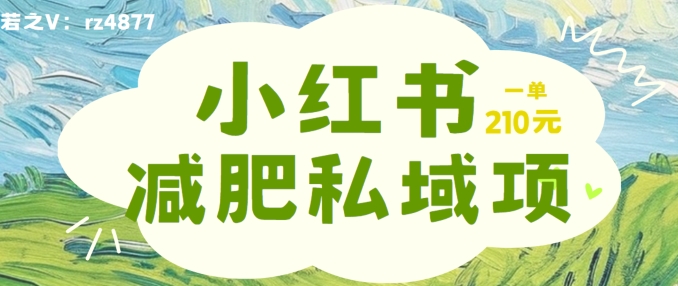 小红书减肥粉，私域变现项目，一单就达210元，小白也能轻松上手【揭秘】-星禾网创星球