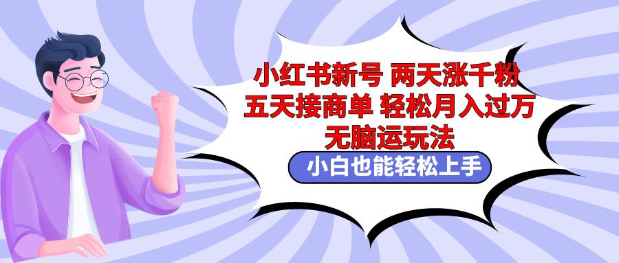 小红书新号两天涨千粉五天接商单轻松月入过万 无脑搬运玩法 小白也能轻...-星禾网创星球