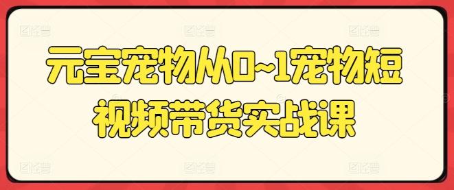元宝宠物从0~1宠物短视频带货实战课-星禾网创星球