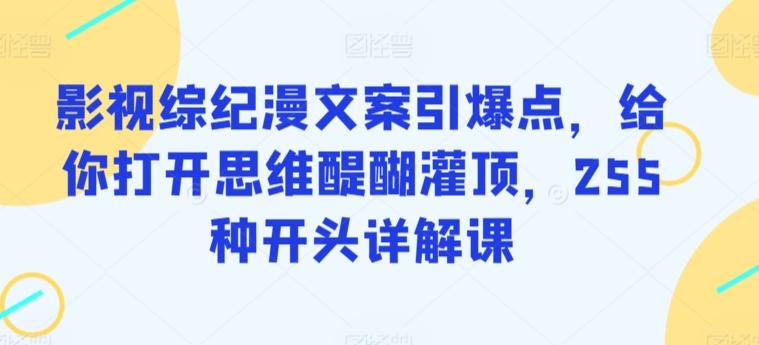 影视综纪漫文案引爆点，给你打开思维醍醐灌顶，255种开头详解课-星禾网创星球