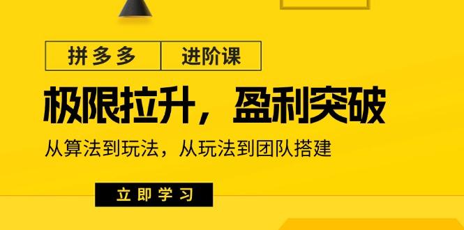 拼多多·进阶课：极限拉升/盈利突破：从算法到玩法 从玩法到团队搭建-18节-星禾网创星球