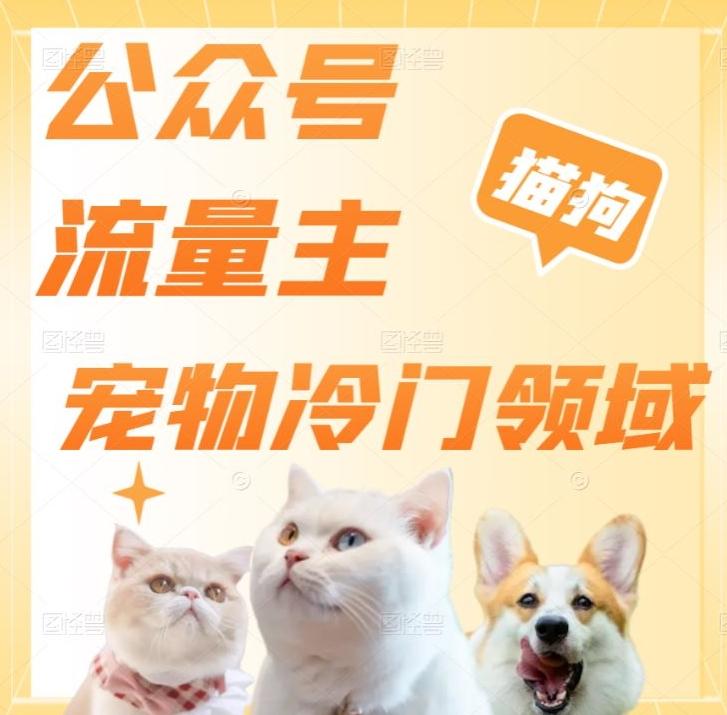公众号流量主，萌宠冷门领域，单日收益2000+，简单暴力掘金，矩阵操作，无限放大收益！-星禾网创星球