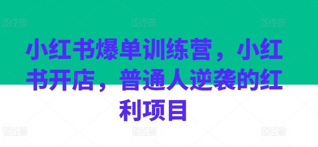 小红书爆单训练营，小红书开店，普通人逆袭的红利项目-星禾网创星球