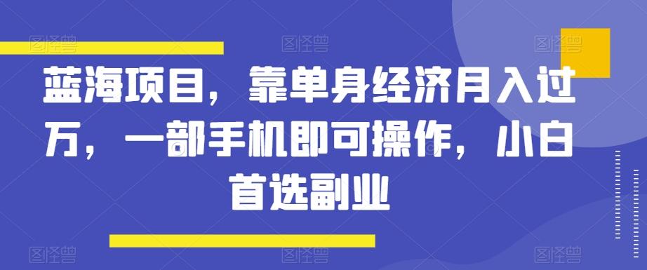 蓝海项目，靠单身经济月入过万，一部手机即可操作，小白首选副业【揭秘】-星禾网创星球