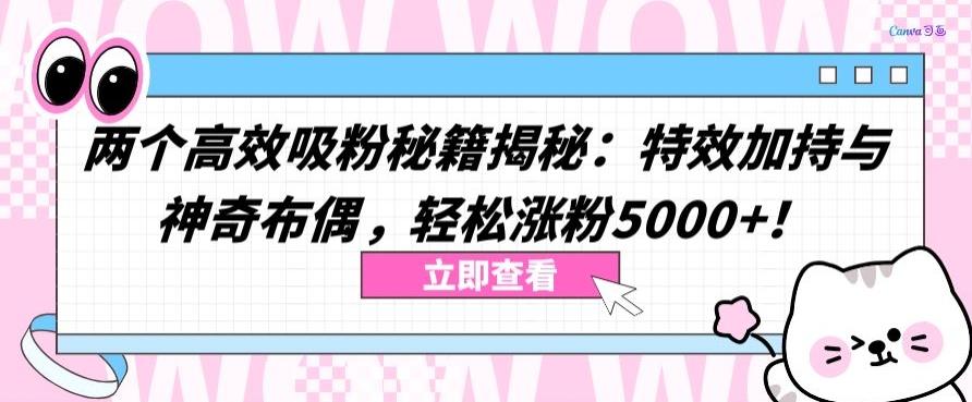 两个高效吸粉秘籍揭秘：特效加持与神奇布偶，轻松涨粉5000+【揭秘】-星禾网创星球