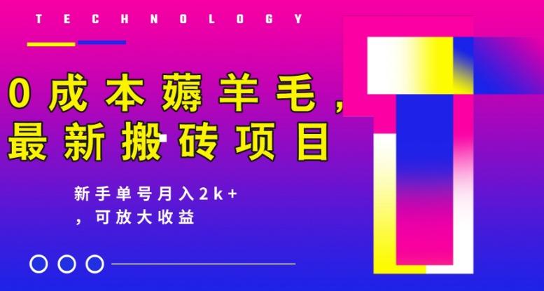 0成本薅羊毛，最新搬砖项目，新手单号月入2k+，可放大操作-星禾网创星球