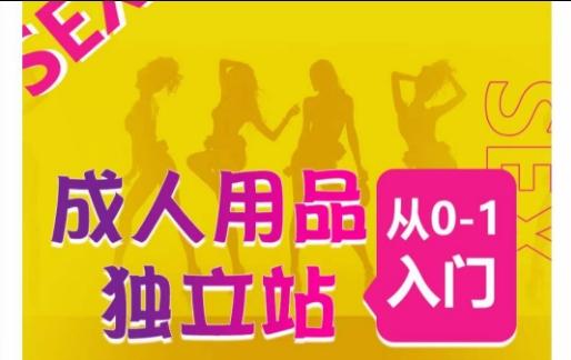 成人用品独立站从0-1入门，成品独立站运营全流程教学，七大好卖成品独立站推荐-星禾网创星球