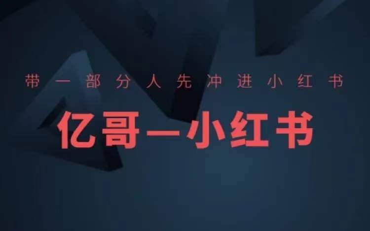 ​​带一部分人先冲进小红书，小红书开店、选品、爆款裂变-星禾网创星球