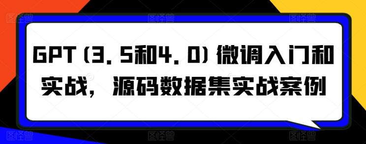 GPT(3.5和4.0)微调入门和实战，源码数据集实战案例-星禾网创星球