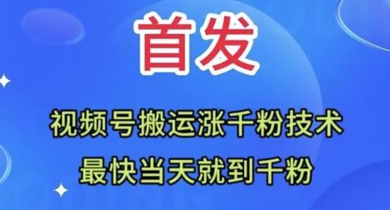 全网首发：视频号无脑搬运涨千粉技术，最快当天到千粉【揭秘】-星禾网创星球