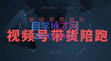 狼团联盟·2024视频号带货-星禾网创星球