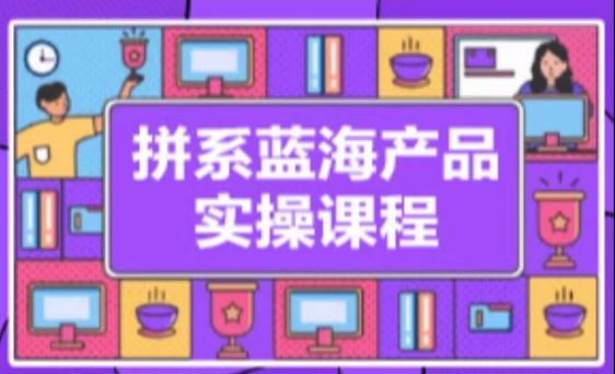 拼系冷门蓝海产品实操课程，从注册店铺到选品上架到流量维护环环相扣-星禾网创星球