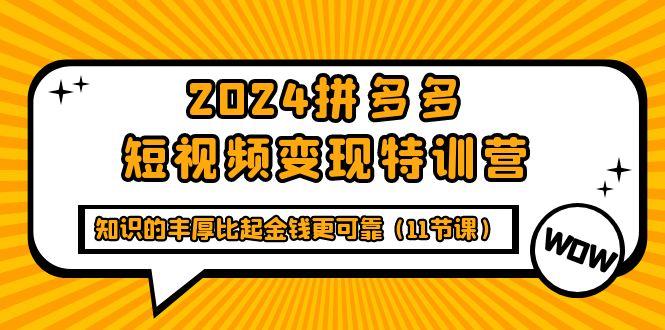 (9817期)2024拼多多短视频变现特训营，知识的丰厚比起金钱更可靠(11节课)-星禾网创星球