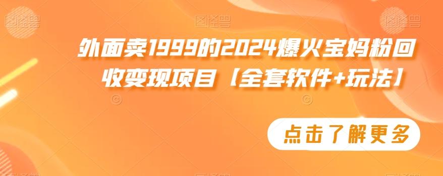 外面卖1999的2024爆火宝妈粉回收变现项目【全套软件+玩法】【揭秘】-星禾网创星球