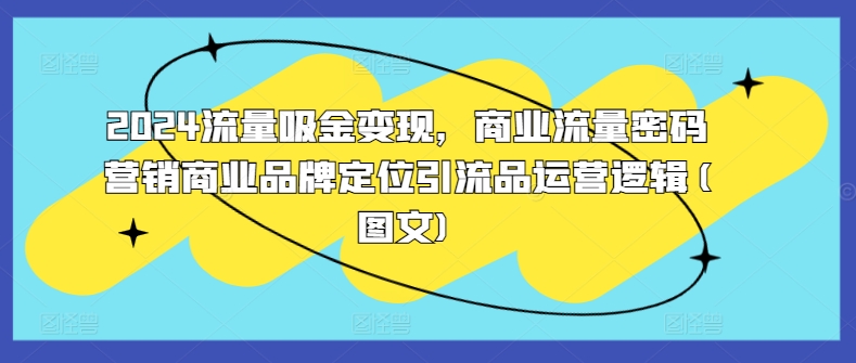 2024流量吸金变现，商业流量密码营销商业品牌定位引流品运营逻辑(图文)-星禾网创星球